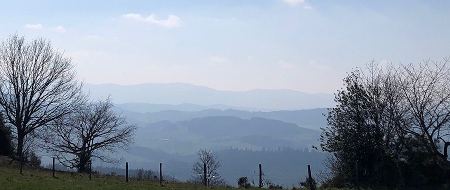 Cette image capture un paysage emblématique des Monts du Forez, dans le Parc Naturel Régional Livradois-Forez, offrant une vue panoramique sur des collines boisées et vallonnées. On y distingue un premier plan de prairie verdoyante bordée par une clôture et des arbres dénudés, suggérant une saison froide ou le début du printemps. L'arrière-plan révèle une superposition de reliefs, légèrement voilés par une brume bleutée, qui accentue la profondeur et la sérénité du panorama. Ce paysage typique du Massif Central, marqué par une nature préservée, reflète parfaitement la vocation écologique et agricole de cette région classée Natura 2000.