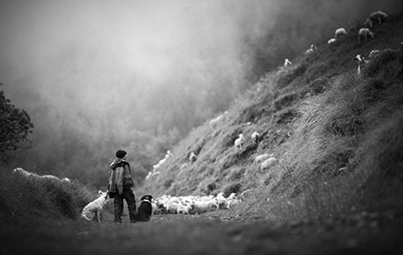 Rencontre Agriculture Mountain Wilderness © Laurent Salino