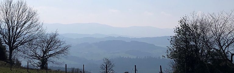 Cette image capture un paysage emblématique des Monts du Forez, dans le Parc Naturel Régional Livradois-Forez, offrant une vue panoramique sur des collines boisées et vallonnées. On y distingue un premier plan de prairie verdoyante bordée par une clôture et des arbres dénudés, suggérant une saison froide ou le début du printemps. L'arrière-plan révèle une superposition de reliefs, légèrement voilés par une brume bleutée, qui accentue la profondeur et la sérénité du panorama. Ce paysage typique du Massif Central, marqué par une nature préservée, reflète parfaitement la vocation écologique et agricole de cette région classée Natura 2000.