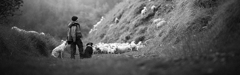 Hélène, bergère dans le massif de l'Oisans